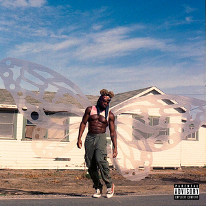 叶山小百合最美丈母娘免费完整版电影
